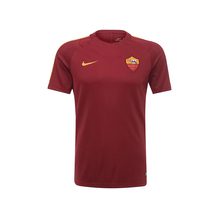 NIKE   ROMA M NK DRY SQD TOP SS