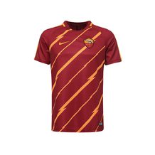 NIKE   ROMA M NK DRY SQD TOP SS GX