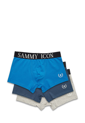 Sammy Icon   3 .