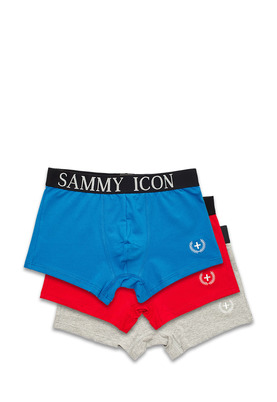 Sammy Icon   3 .