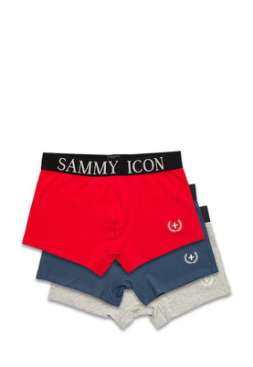 Sammy Icon   3 