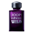 Joop Wild