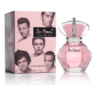 One Direction Our Moment